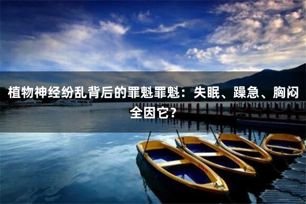 植物神经纷乱背后的罪魁罪魁：失眠、躁急、胸闷全因它？