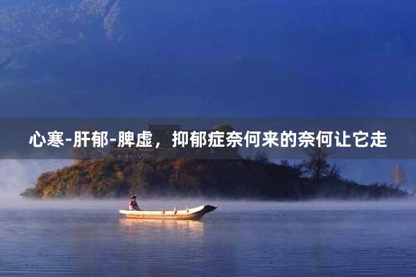 心寒-肝郁-脾虚，抑郁症奈何来的奈何让它走
