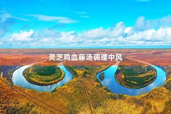 灵芝鸡血藤汤调理中风