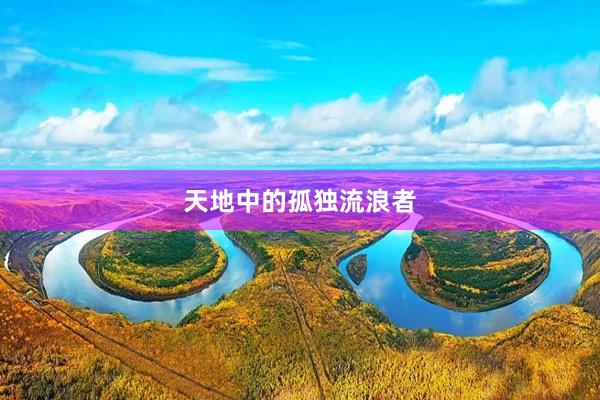 天地中的孤独流浪者