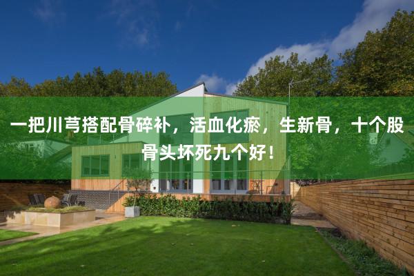 一把川芎搭配骨碎补，活血化瘀，生新骨，十个股骨头坏死九个好！