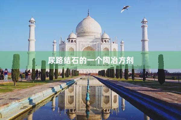 尿路结石的一个陶冶方剂