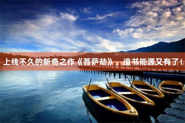 上线不久的新奇之作《菩萨劫》，追书能源又有了！