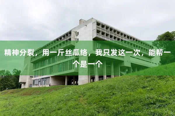 精神分裂，用一斤丝瓜络，我只发这一次，能帮一个是一个