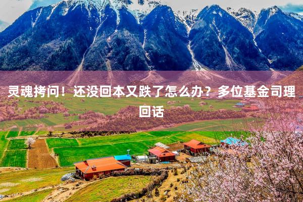 灵魂拷问！还没回本又跌了怎么办？多位基金司理回话
