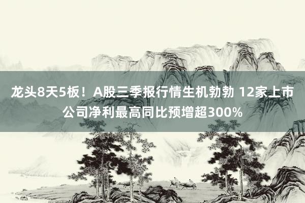 龙头8天5板！A股三季报行情生机勃勃 12家上市公司净利最高同比预增超300%