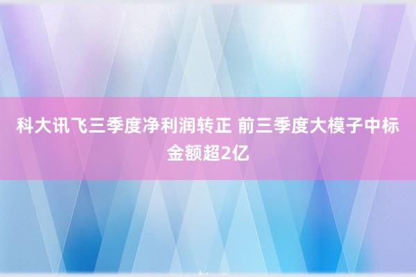 科大讯飞三季度净利润转正 前三季度大模子中标金额超2亿