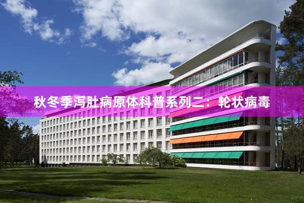 秋冬季泻肚病原体科普系列二：轮状病毒