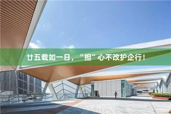 廿五载如一日，“担”心不改护企行！