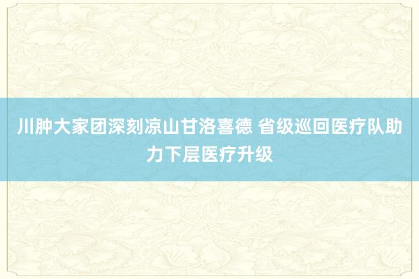 川肿大家团深刻凉山甘洛喜德 省级巡回医疗队助力下层医疗升级