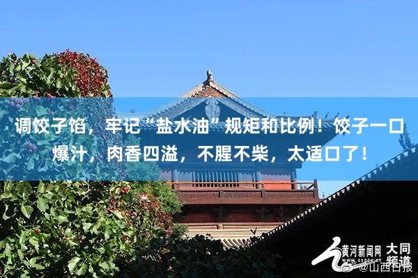 调饺子馅，牢记“盐水油”规矩和比例！饺子一口爆汁，肉香四溢，不腥不柴，太适口了！