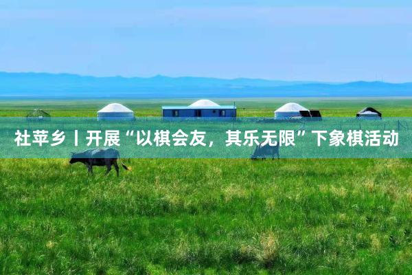 社苹乡丨开展“以棋会友，其乐无限”下象棋活动