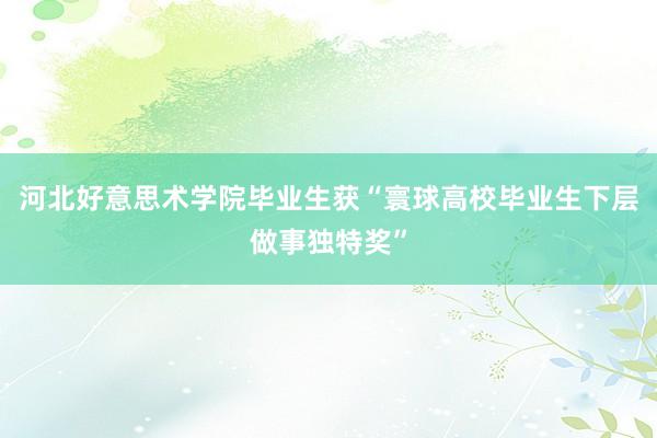 河北好意思术学院毕业生获“寰球高校毕业生下层做事独特奖”