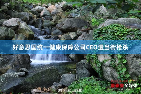 好意思国统一健康保障公司CEO遭当街枪杀