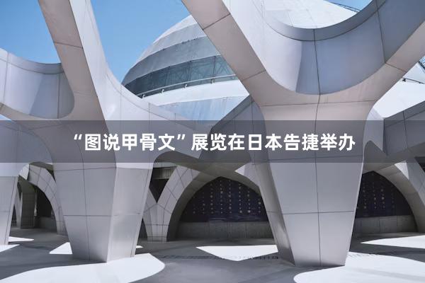 “图说甲骨文”展览在日本告捷举办