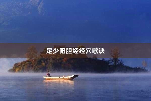 足少阳胆经经穴歌诀
