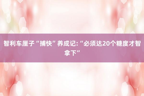 智利车厘子“捕快”养成记:“必须达20个糖度才智拿下”