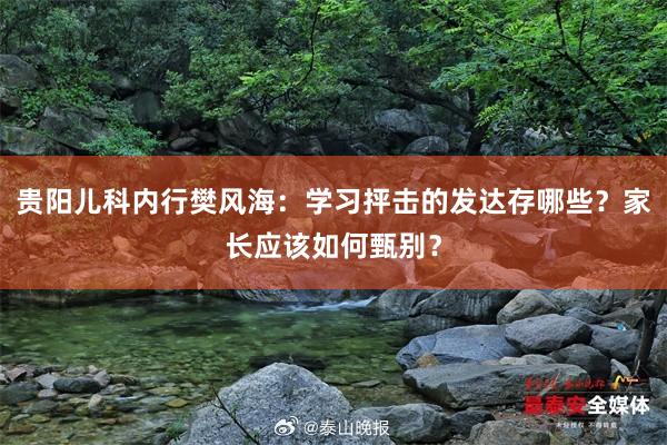 贵阳儿科内行樊风海：学习抨击的发达存哪些？家长应该如何甄别？